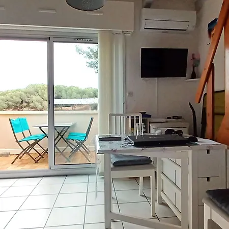 Apartment T2 Climatise Avec Mezzanine, Piscine Et Parking, Proche - - Fr-1-607-119 Agde