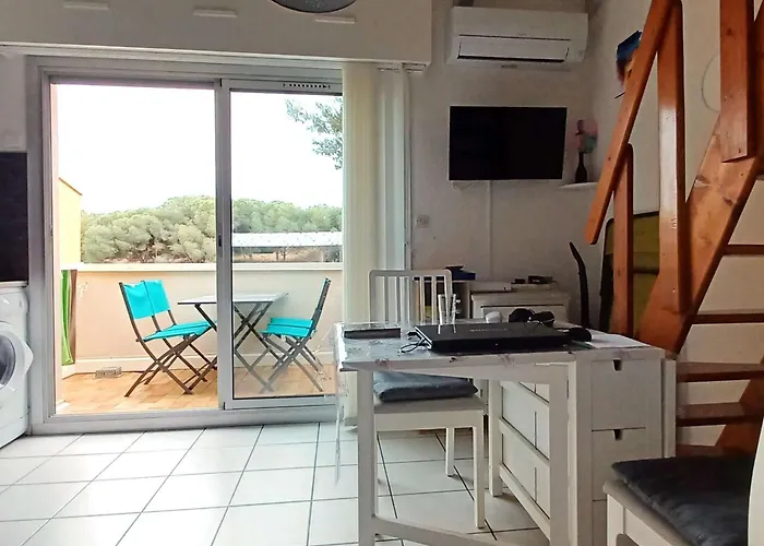 아파트 T2 Mezzanine Avec Climatisation, Piscine Et Parking Proche - Fr-1-607-119 아그